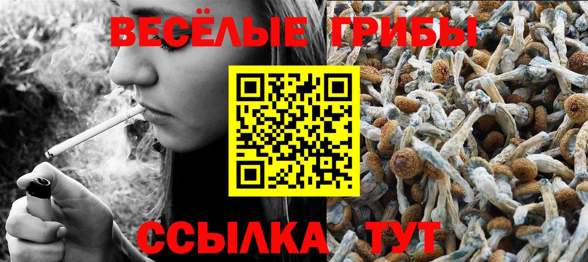 Шелехов  Галлюциногенные грибы прущие грибы  Вход с VPN 